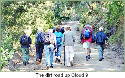 Dirt Road over Cloud 9