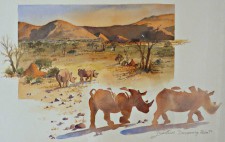 Painting of the disappearing Rhino