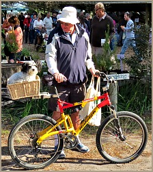 Small dog in a basket on the back of a bicycle.