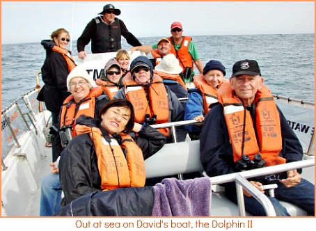 Dolphin II Dolphin II