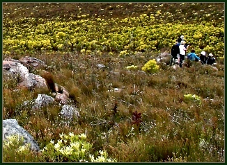 Doring River Day Hike