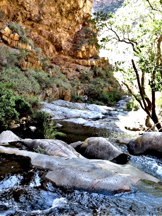 Downstream from the Waterfall