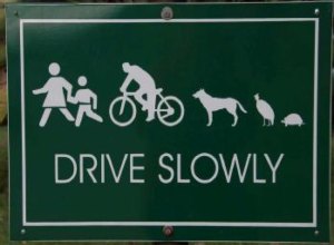 Drive Slowly traffic sign