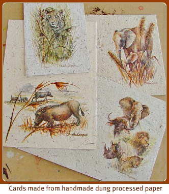 Sheila's art on dung paper