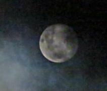 Early stages of the Earth