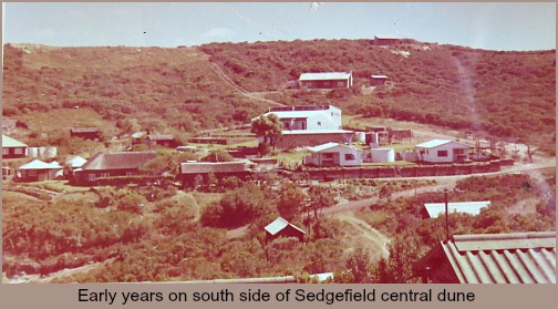Early years on the south side of Sedgefield central Dune
