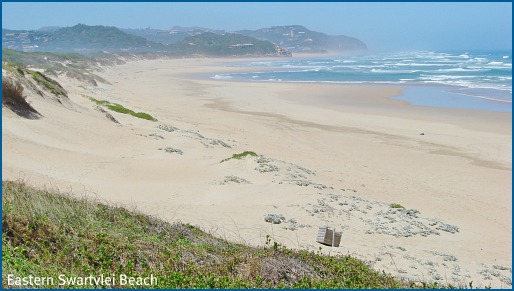 Swartvlei beach in rivermouth direction Swartvlei beach in rivermouth direction