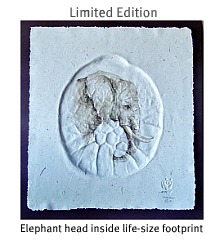 Elephant head on Dung paper