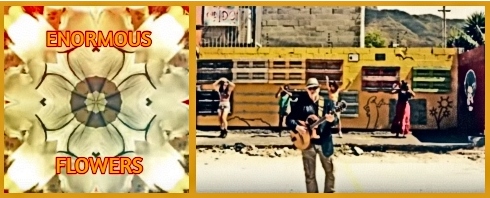 “Enormous Flowers” CD released in 2017