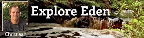 Christiaan Viljoen Christiaan Viljoen