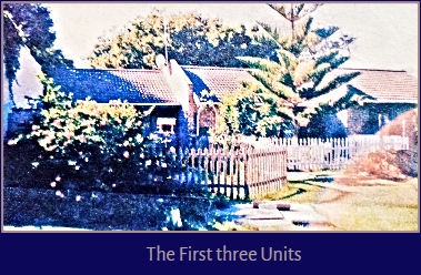 The first 3 new units The first 3 new units