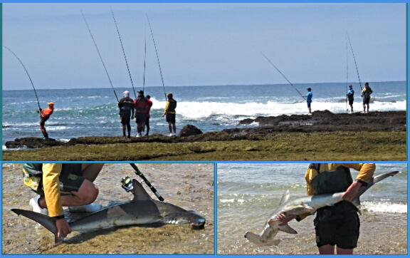Fishing Competition at Gerickes Point Fishing Competition at Gerickes Point