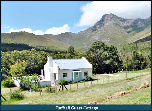 Flufftail Guest Cottage