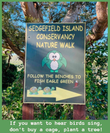 Follow the benches.jpg