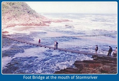 Storms River Suspension Bridge Storms River Suspension Bridge
