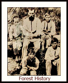 Garden Route Forest History