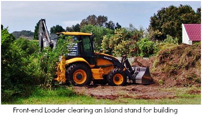 Clearing vegetation for building Clearing vegetation for building