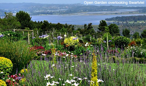 Hoekvil Open Garden overlooking the Swartvlei Lake