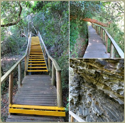 Sections of the boardward Sections of the boardward