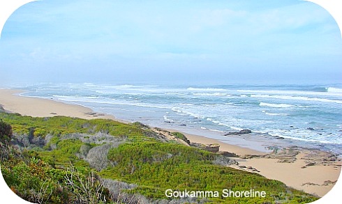 Goukamma Nature Reserve shoreline Goukamma Nature Reserve shoreline