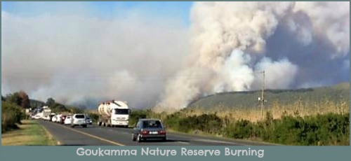 Goukamma Nature Reserve on fire.