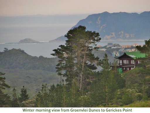 Dune view to Gerickes Point