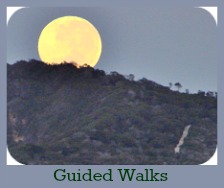 Guided Walks
