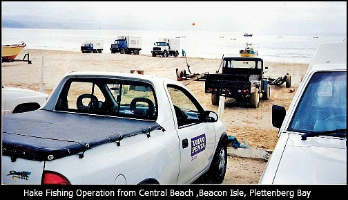 Cold trucks waiting for the day's catch