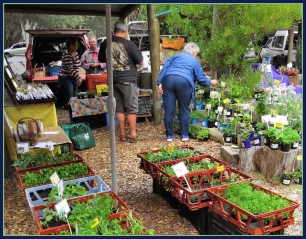 Heatherhill Herbs stall at Wild Oats.