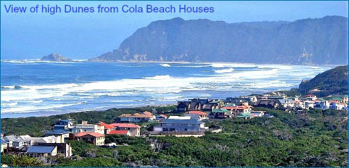 Cola Beach Houses & Gerickes beyond The high vegetated dunes behind on Swartvlei Beach