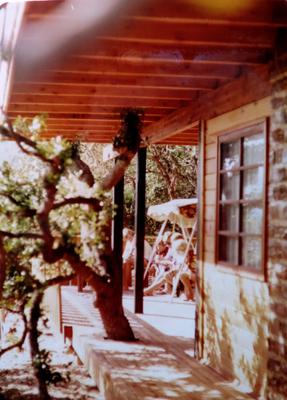 House with milkwoods in Bleshoender Street