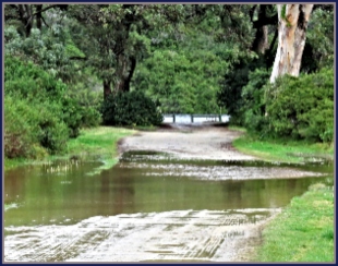 Floodwaters from the lagoon push over President Steyn Street on the Island