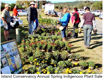 Spring Indigenous Plant Sale Spring Indigenous Plant Sale