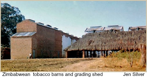 Zimbabwe Tobacco Barns and Grading Shed