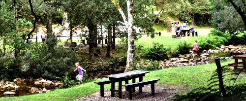 Jubilee Creek picnic site Jubilee Creek picnic site