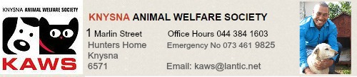 Knysna Animal Welfare contact details Knysna Animal Welfare contact details