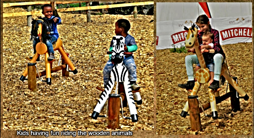 Wooden Animals in the children's  playground