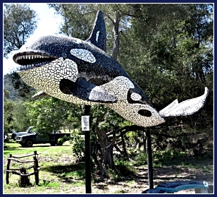 Mosaic Killer Whale at Scarab Market