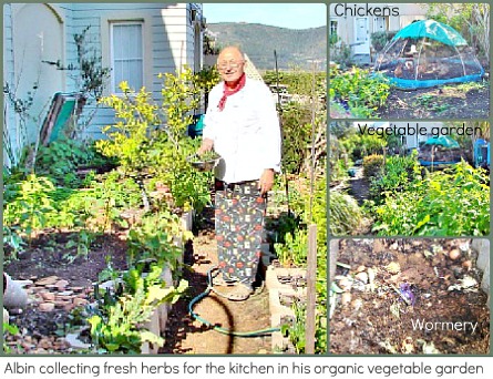 Albin Kilzer collecting fresh herbs from his garden.