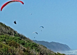 Discover Sedgefield - Paragliding along the coastline from Kleinkrans