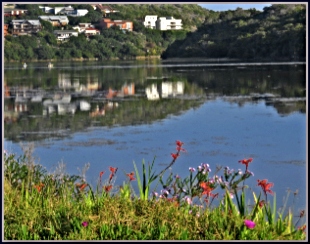 Reflections of houses in the Swartvlei Lagoon