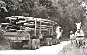 Logger truck passing a Percheron horse and his handler on the road.
