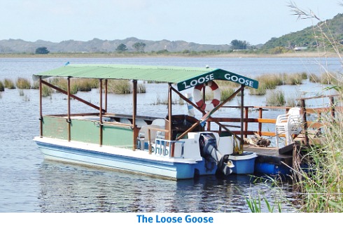 Loose Goose Cruise