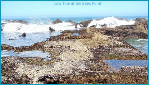 Spring Low Tide at Gerickes, Swartvlei Beach