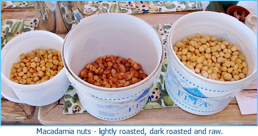 3 typesmacadamia nuts 3 typesmacadamia nuts