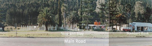 Early Sedge along the Main Roa Early Sedge along the Main Roa