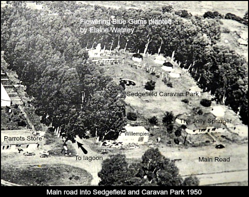 Sedgefield Caravan Park 1950 Sedgefield Caravan Park 1950