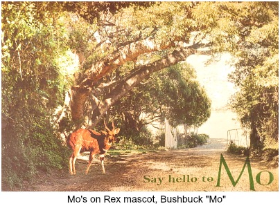 Bushbuck mascot Mo