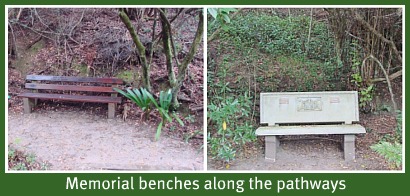 Memorial benches in restful places