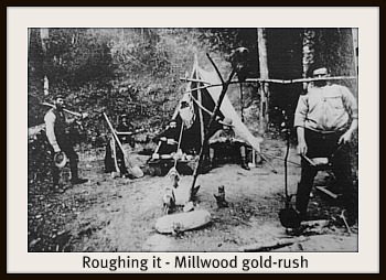 Millwood goldrus Millwood goldrus